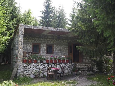 The guesthouse